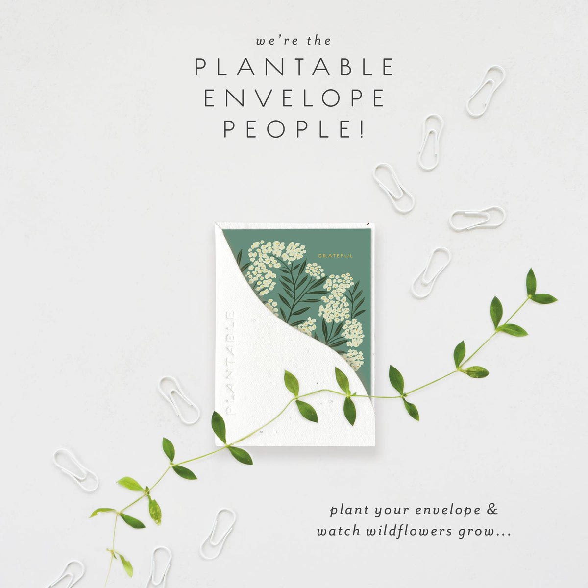 Grateful Sprout Mini Thank You Card, Plantable