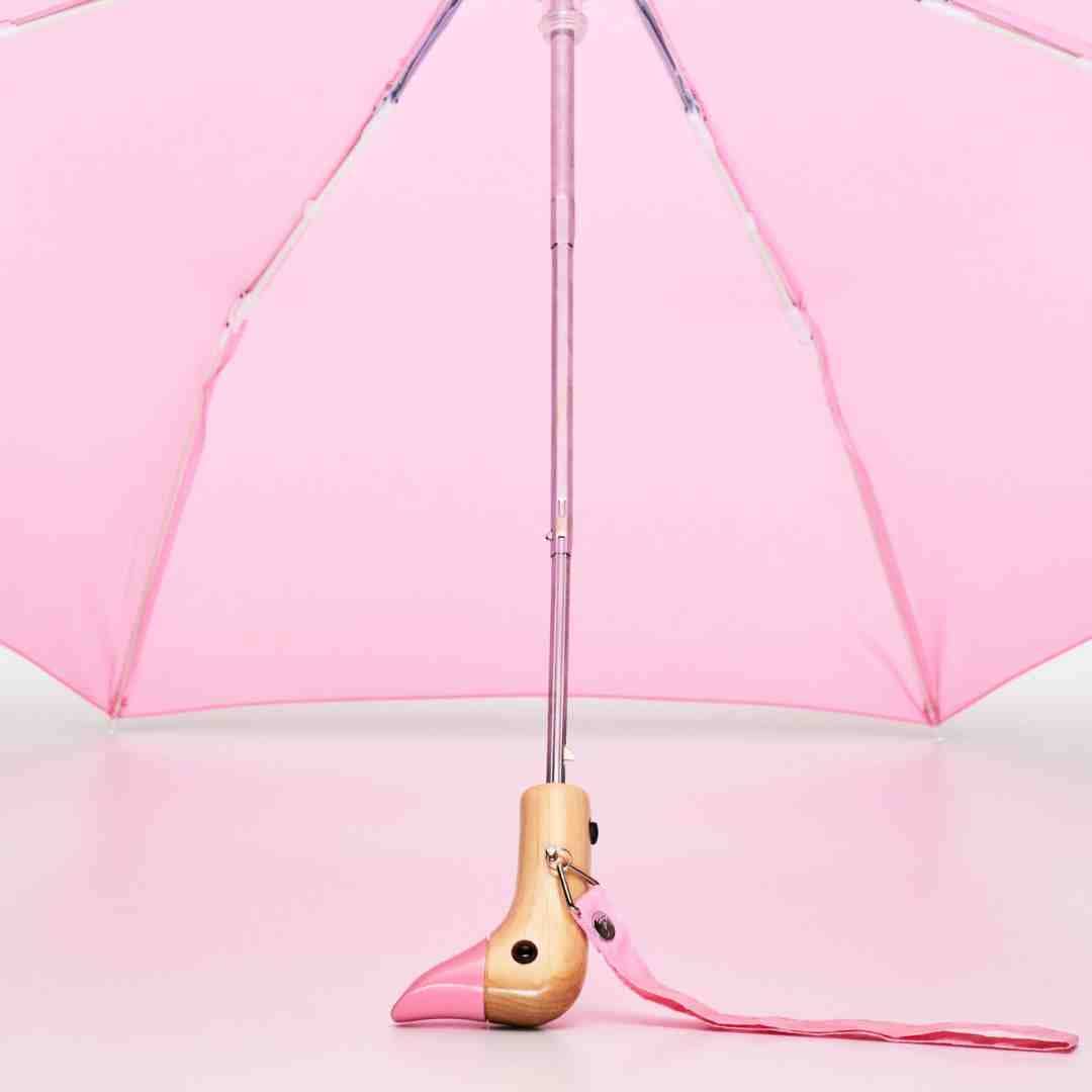 Duck Umbrella