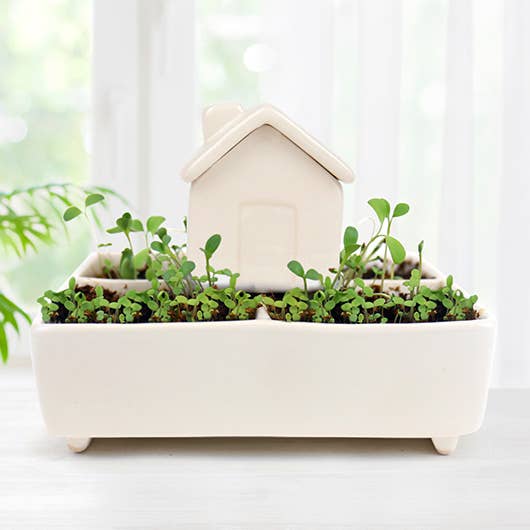 Mini Ceramic Self-Watering Herb Planter