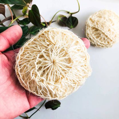 Organic Sisal Shower Sponge