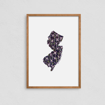 New Jersey State Flower Botanical Art Print