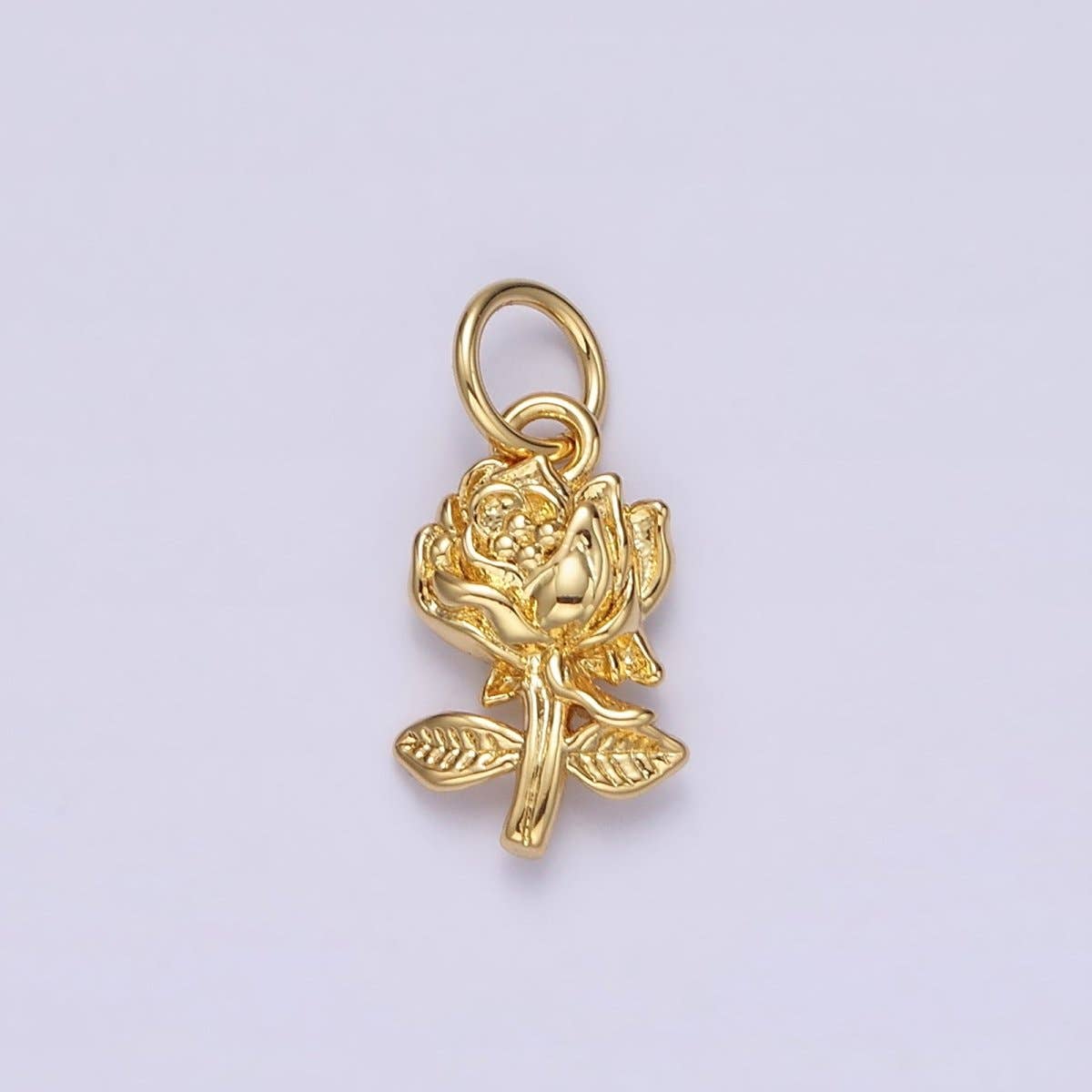 Acorn Charm Collection