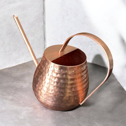 Handcrafted Watering Can for Indoor Plants