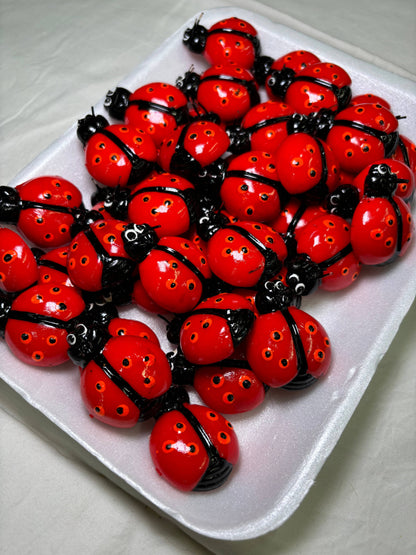 Ladybug Kitchen Magnet