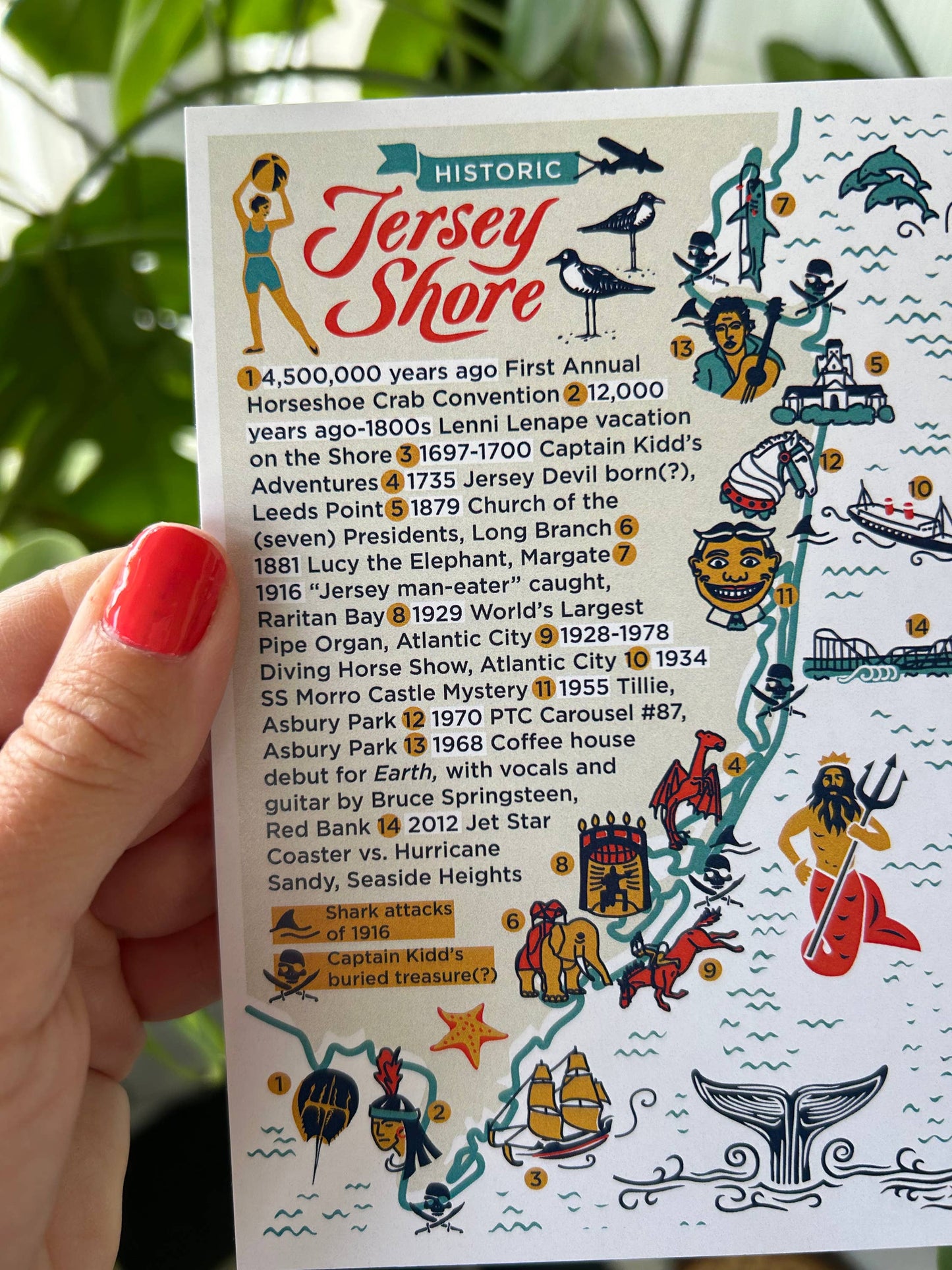 Historic Jersey Shore Vintage Map Postcard