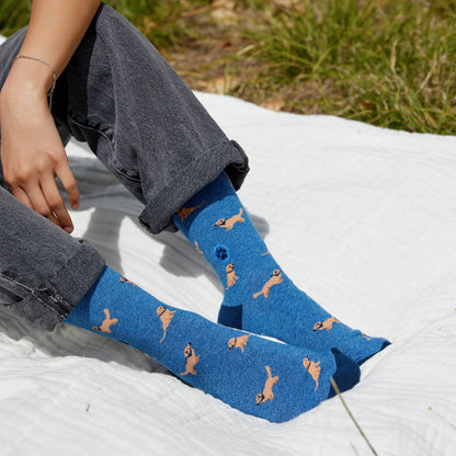 Golden Retriever Organic Cotton Socks
