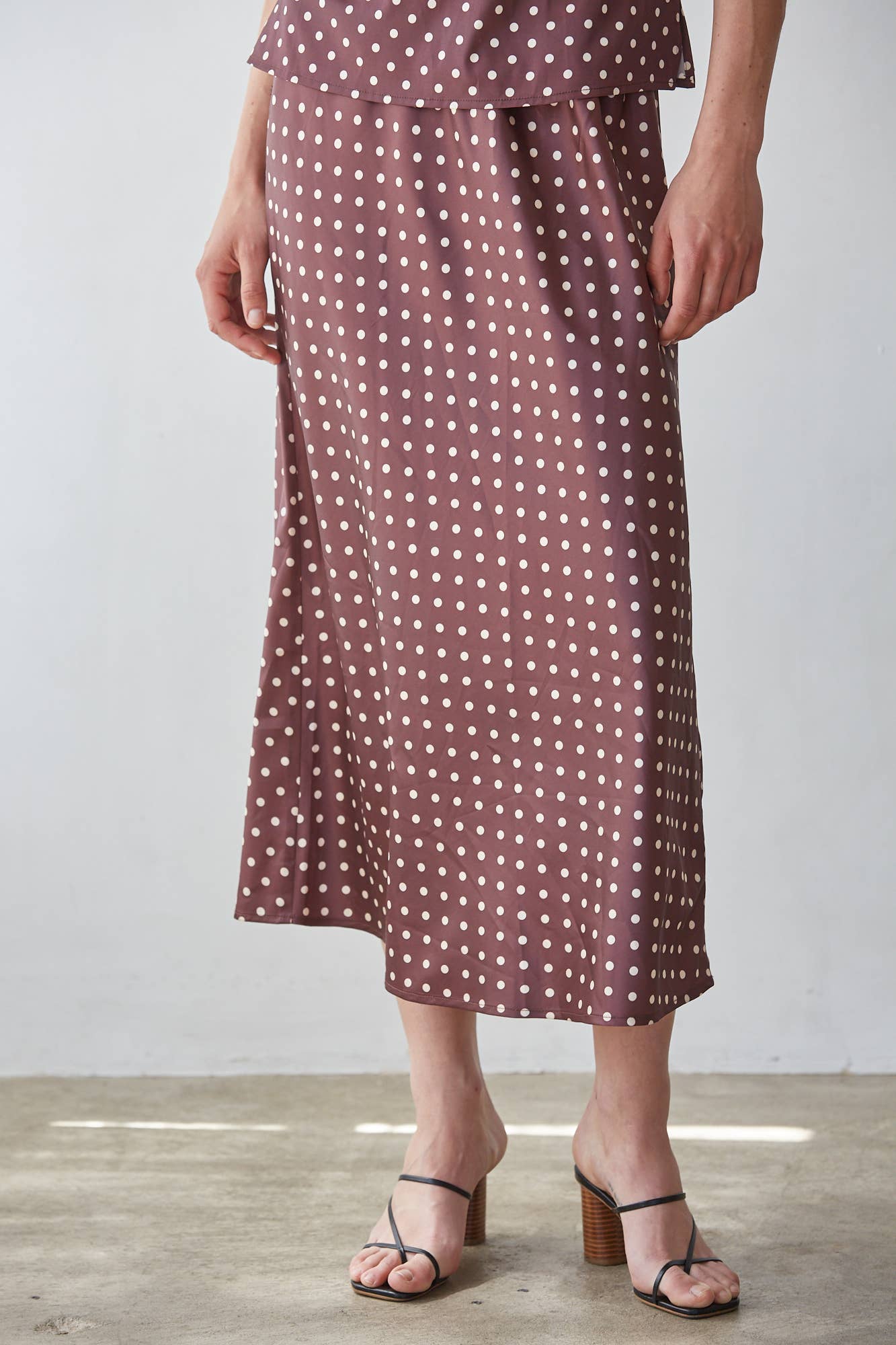 Polka Dot Print A-Line Skirt