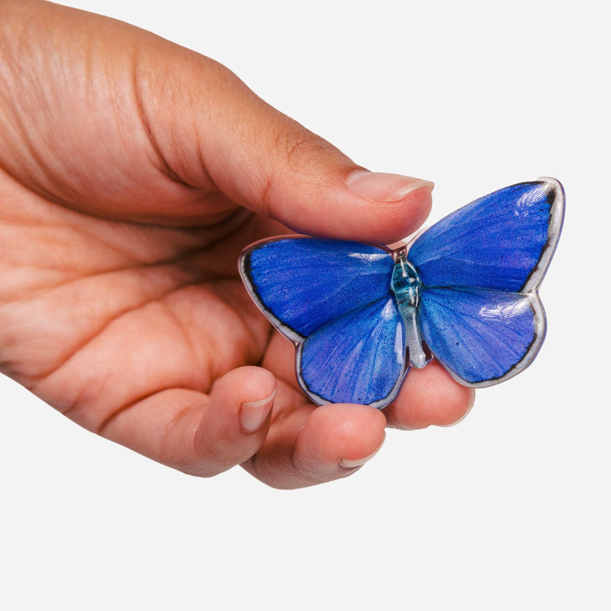 Butterfly Hair Clips Plant-Based Acetate Pair