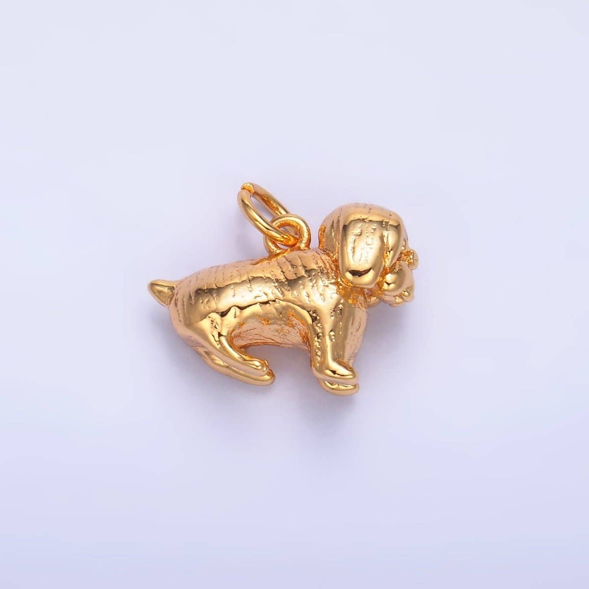 Acorn Charm Collection