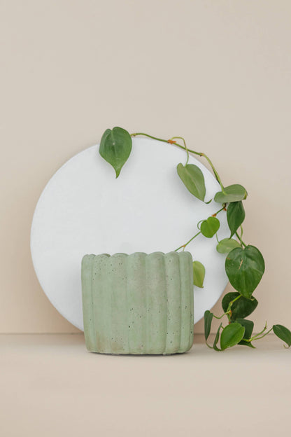 Handmade Scallop Planter 4.5 Inch