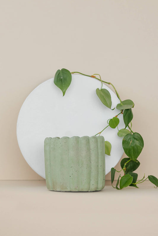Handmade Scallop Planter 4.5 Inch