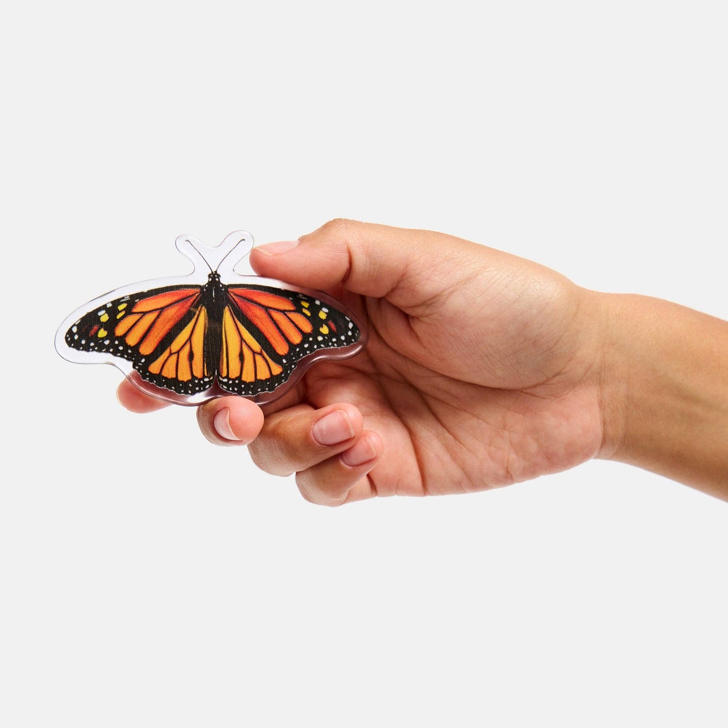 Barrette in Monarch Butterfly